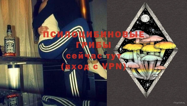 молекула духа Магадан
