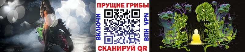 Галлюциногенные грибы мухоморы  купить   Нестеровская 